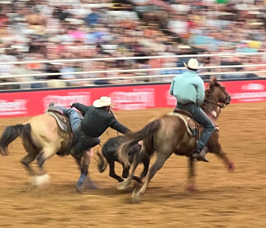 Mesquite Championship Rodeo 1